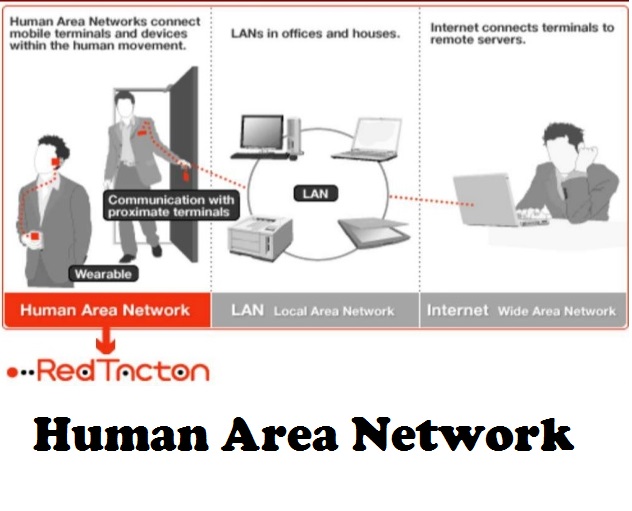 Human Area Network